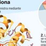 Desarrollan la primera insulina que no necesita pincharse a diario