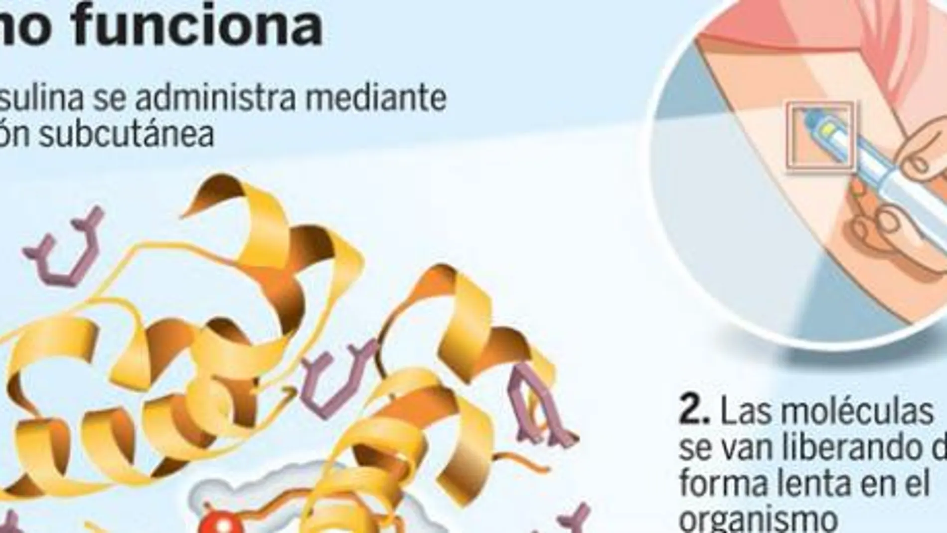 Desarrollan la primera insulina que no necesita pincharse a diario