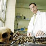 El director del Instituto Anatómico Forense, Eduardo Andreu, supervisa las labores de esqueletización de los restos óseos en el laboratorio del centro