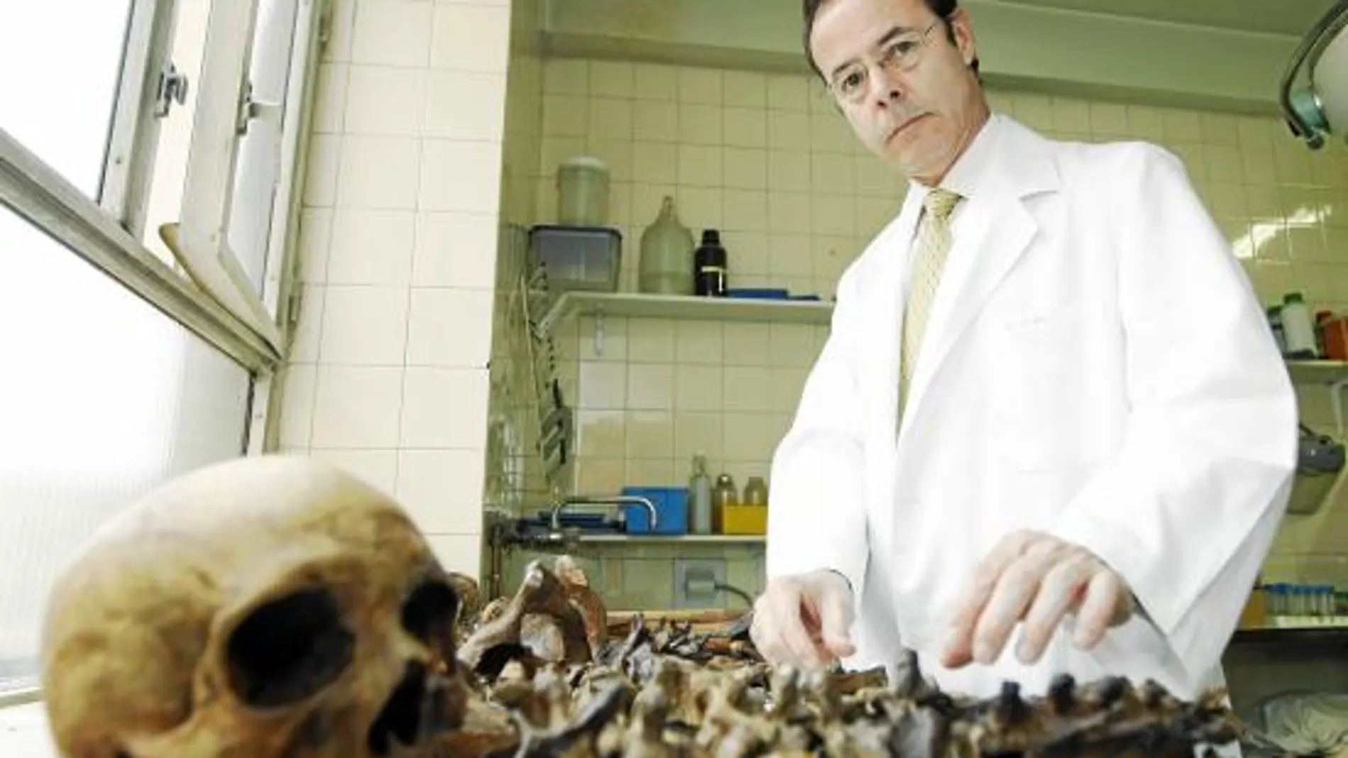 El director del Instituto Anatómico Forense, Eduardo Andreu, supervisa las labores de esqueletización de los restos óseos en el laboratorio del centro