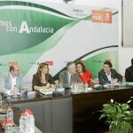 La comisión ejecutiva regional del PSOE-A, presidida por José Antonio Griñán, se reunió ayer en Sevilla