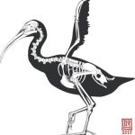 El ave «ninja» de la Prehistoria