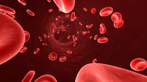 La anemia es un trastorno que consiste en una disminución en el número de glóbulos rojos y/o hemoglobina en sangre | Ilustración de archivo