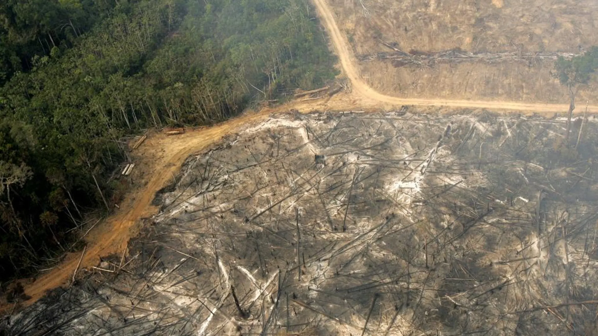 Imagen de la deforestación en la ciudad de Santarem, en el estado brasileño de Para