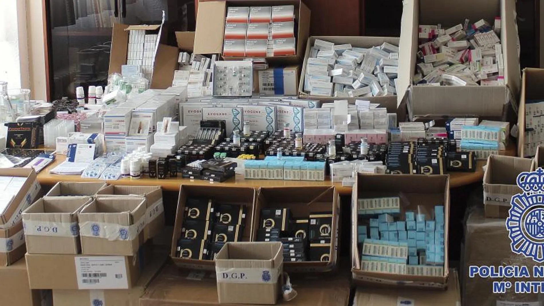 Los anabolizantes incautados que eran distribuidos desde una tienda de fitness de Madrid
