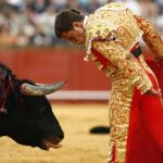 De gloria y casta