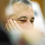 Griñán prioriza ahora la «estabilidad financiera» frente a la caja única