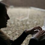 Las citas, un nuevo mundo en internet