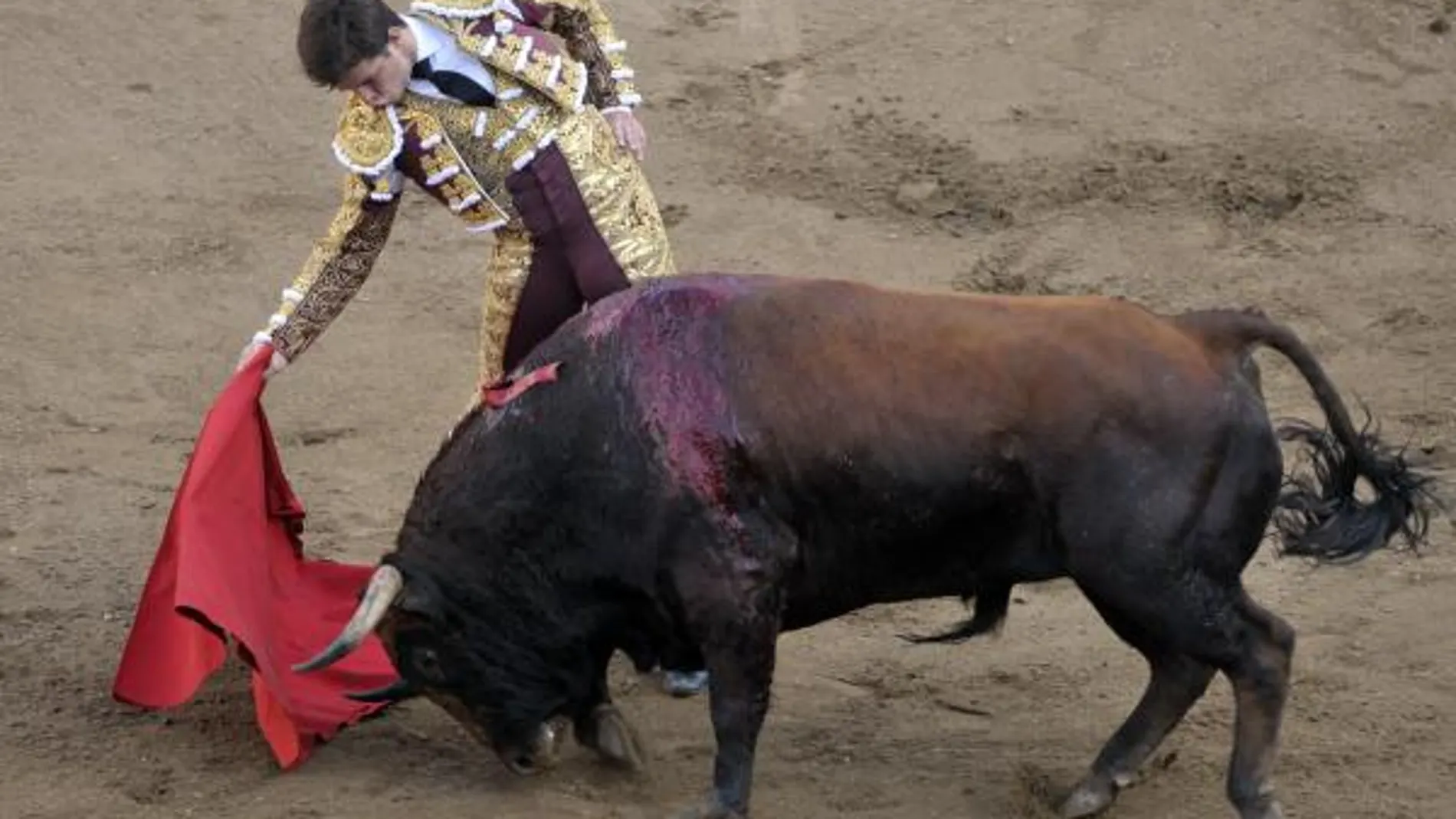 El Parlamento apuesta por los toros en RTVE