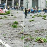 La mayor parte de las flores acabaron esparcidas por la plaza pero algunas fueron lanzadas dentro de la fuente de la diosa