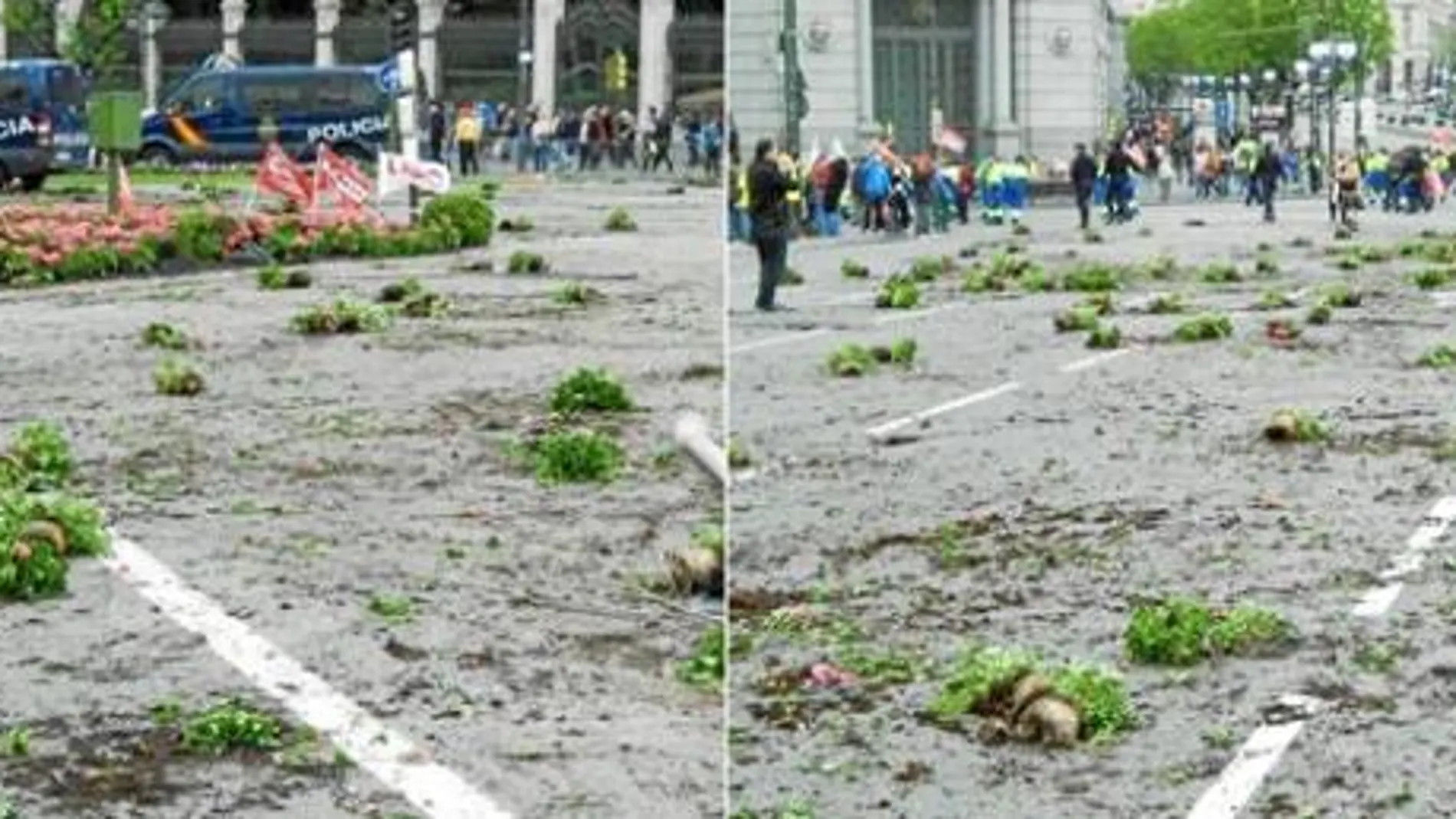 La mayor parte de las flores acabaron esparcidas por la plaza pero algunas fueron lanzadas dentro de la fuente de la diosa