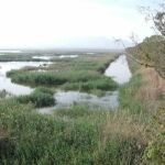 Medio Ambiente organiza en Segorbe el XVI Congreso estatal de parques naturales