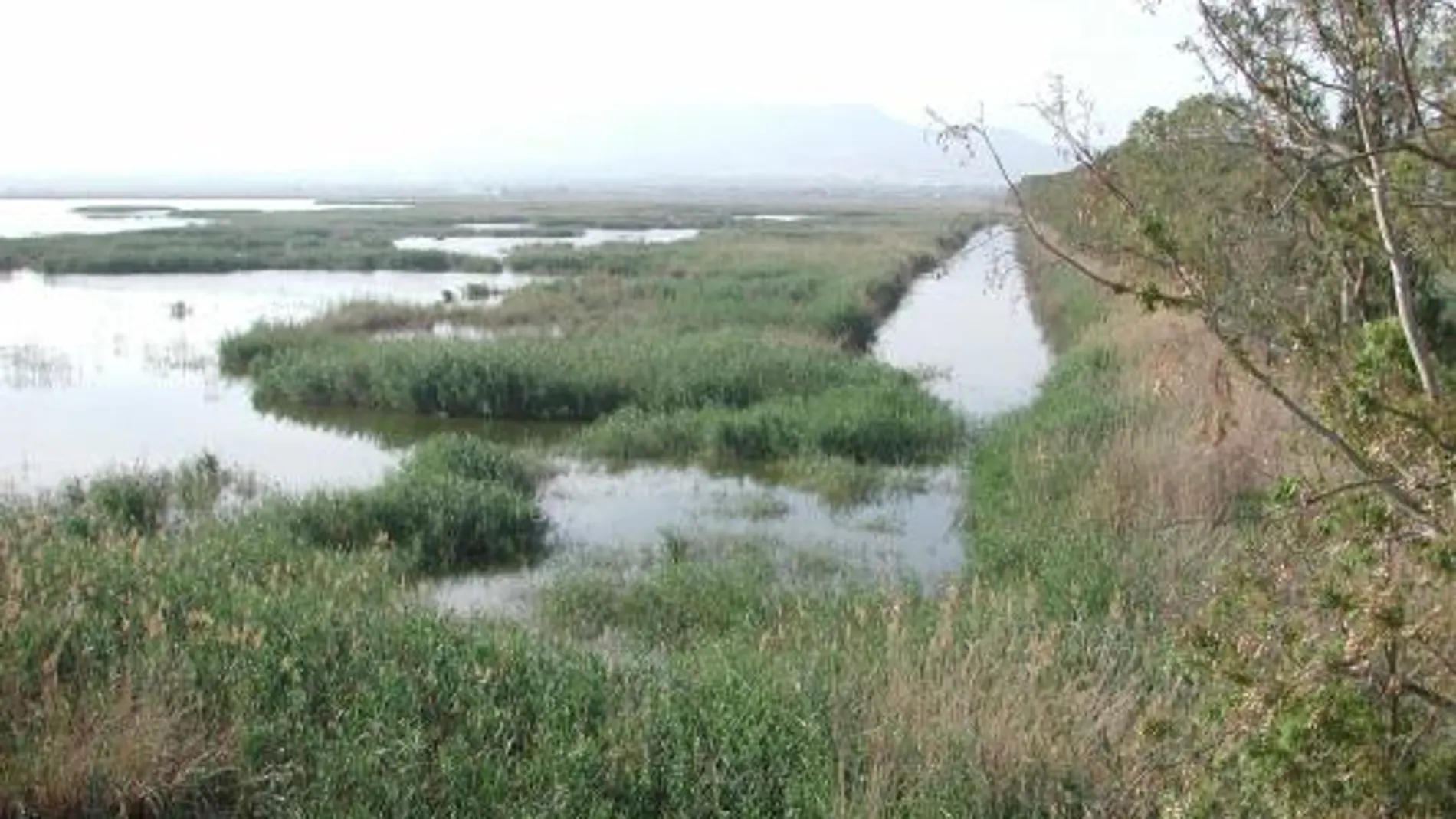 Medio Ambiente organiza en Segorbe el XVI Congreso estatal de parques naturales