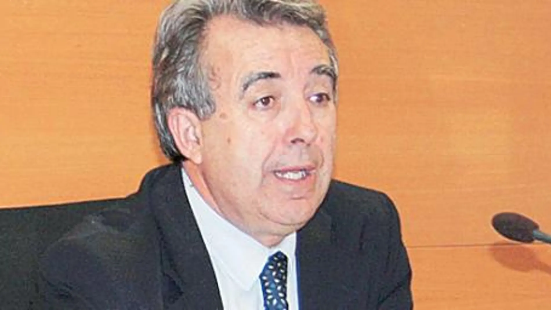 Cerdá dice que la contaminación en Alumbres no la provocó Repsol