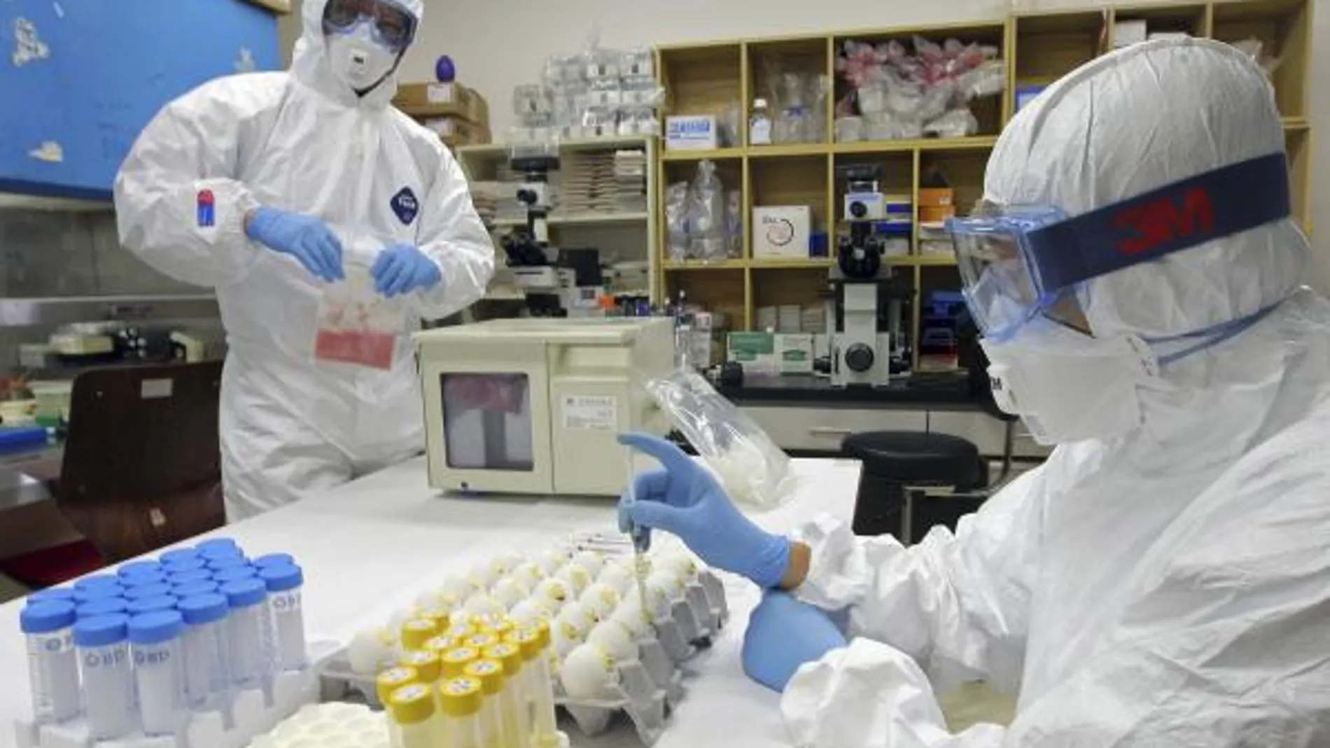 Los virus pandémicos de la gripe circularon años antes de provocar los brotes mortales