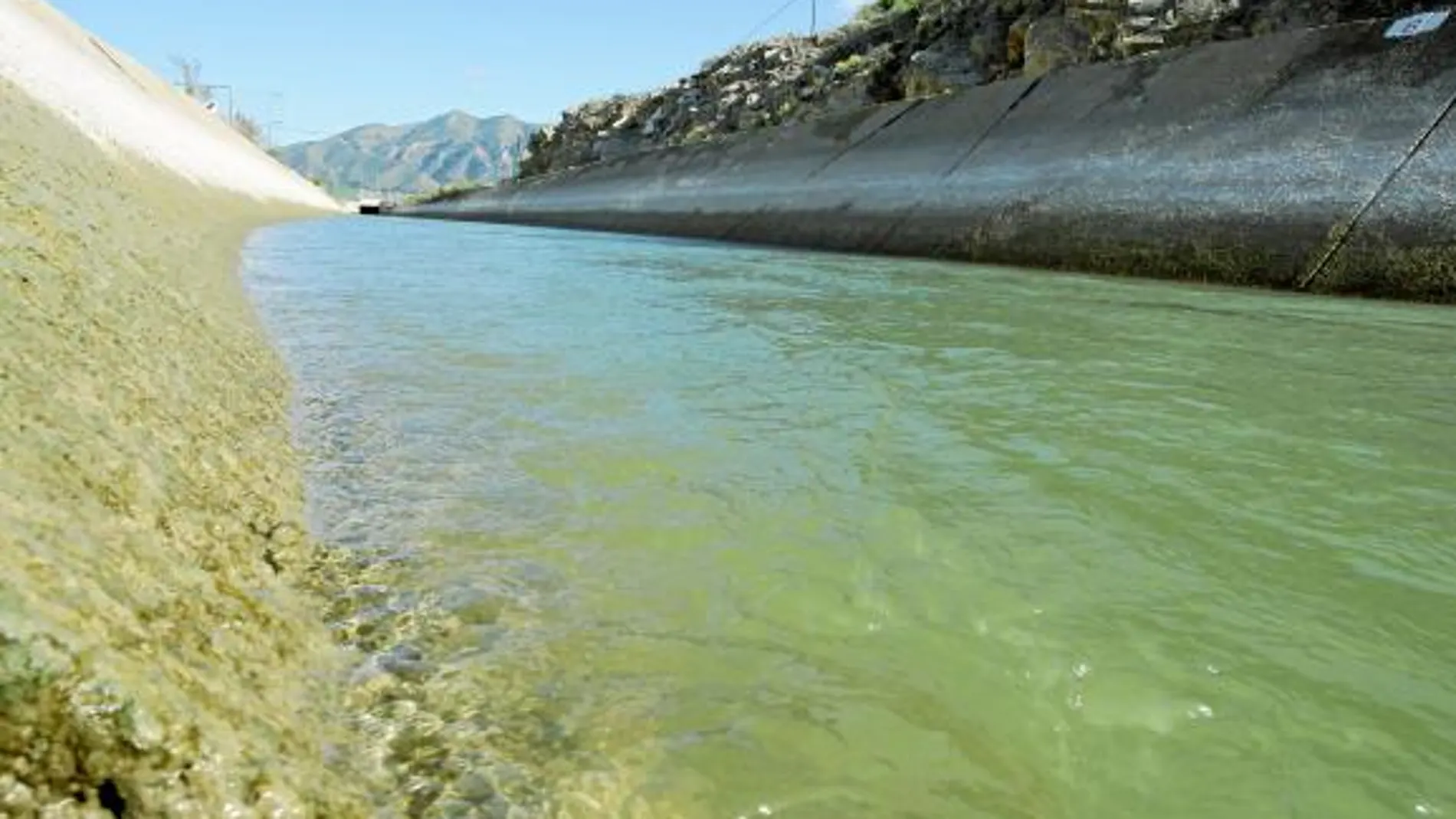 El agua del río Tajo que usan los agricultores murcianos para regar sus cultivos