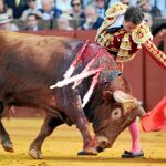 Finito de Córdoba, anunciado en Ávila
