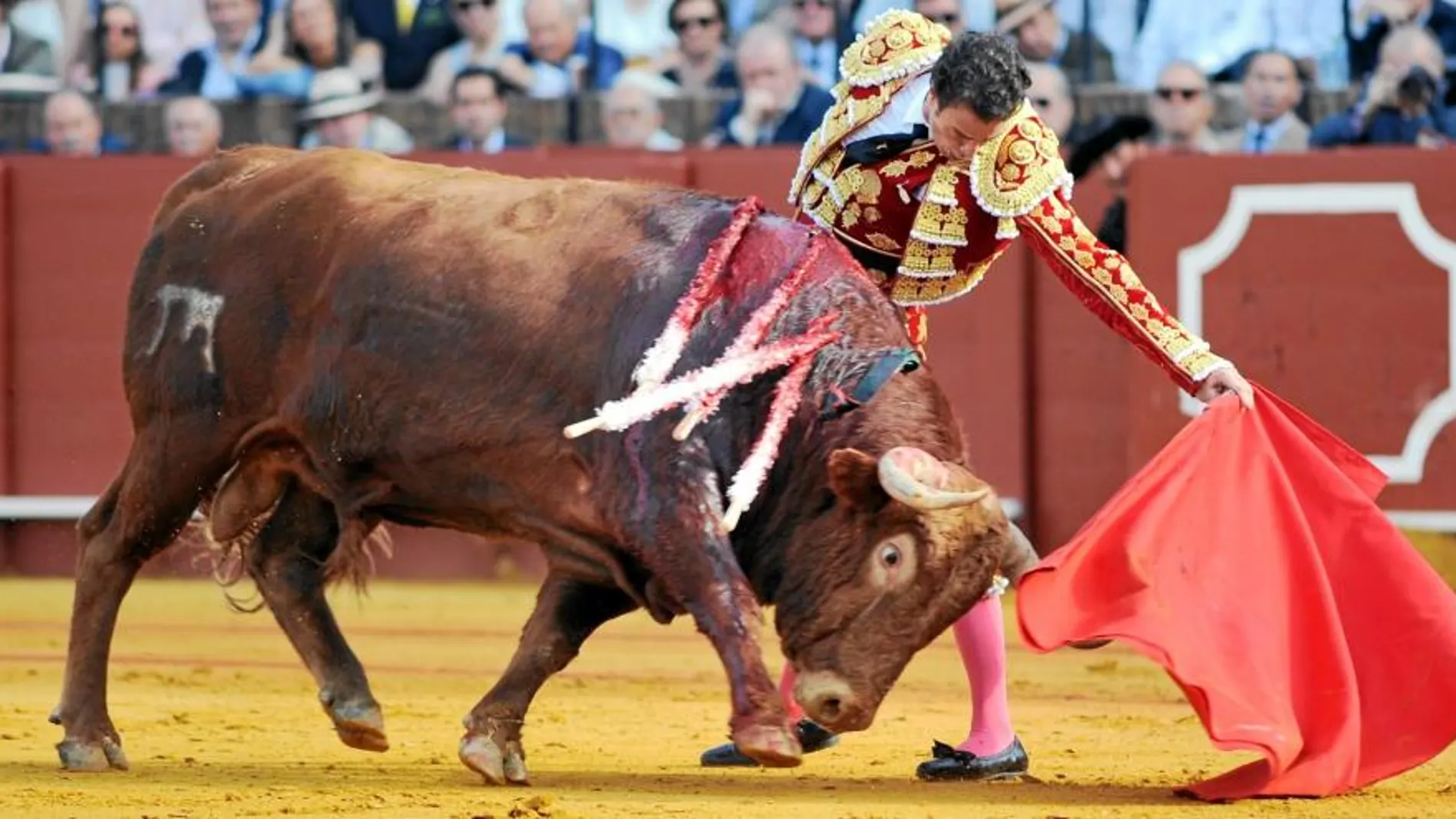 Finito de Córdoba, anunciado en Ávila