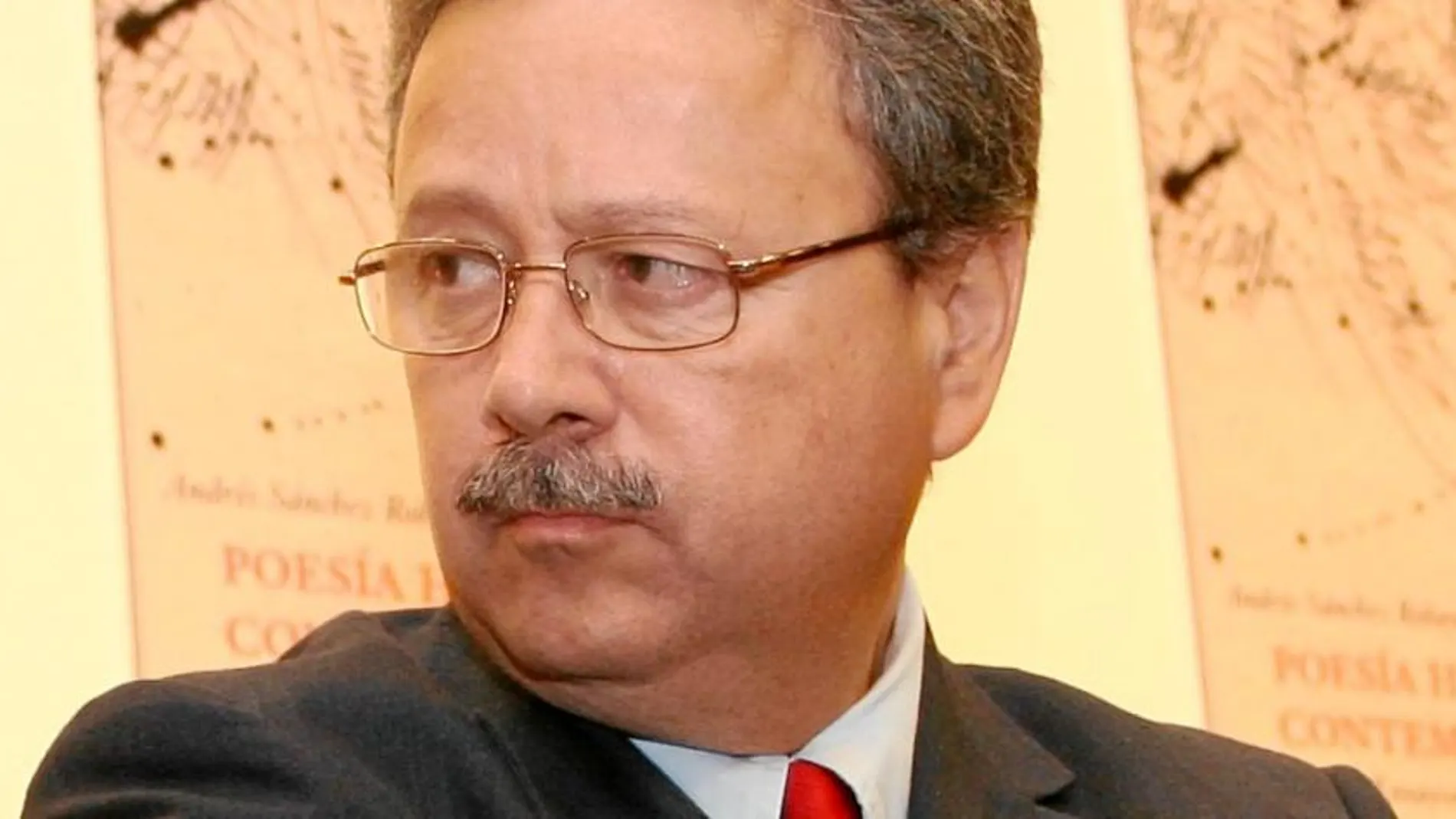 Sánchez Robayna, tras la duna