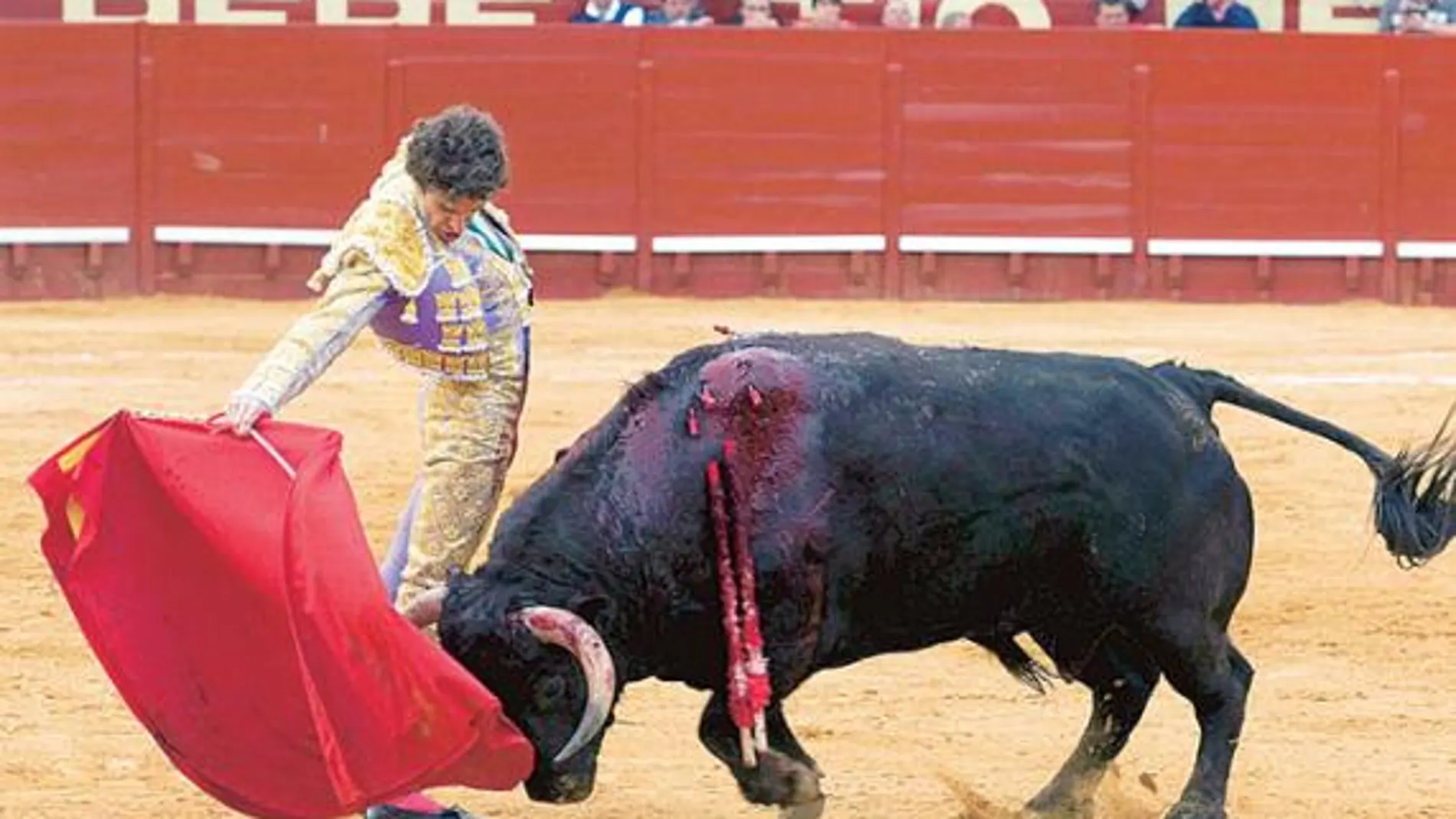 José Tomás torea sobre la mano derecha a su primer toro, ayer en Jerez