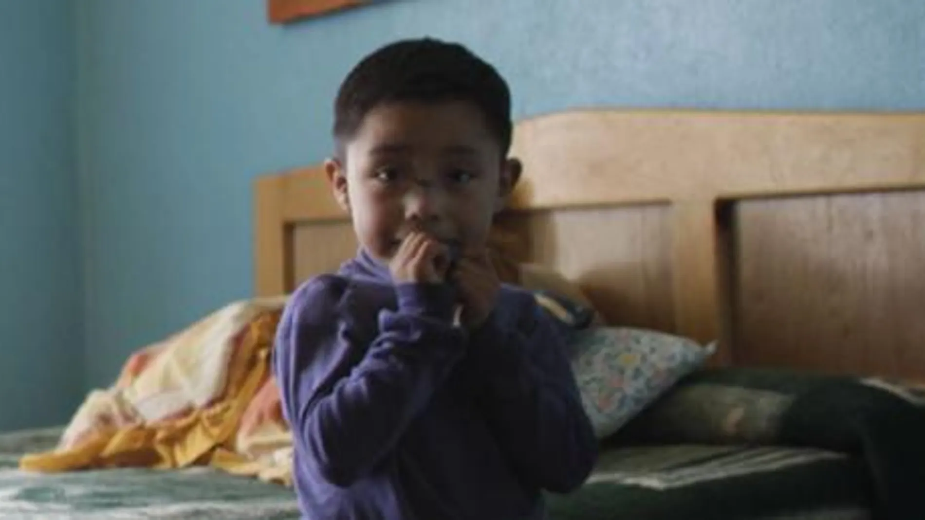 Un niño de cinco años, posible `paciente cero¿ de la gripe porcina en México