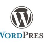¿Espíritu emprendedor? 10 Razones por las que debes usar Wordpress