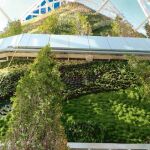 Mutua madrileña, un «plan azul» muy verde