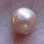 Una perla natural marina de 2.000 años de antigüedad