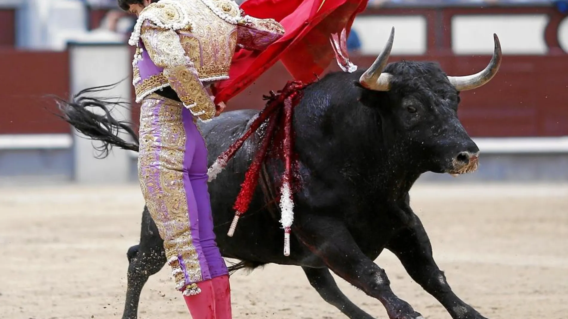 Sebastián Ritter, en una manoletina en Las Ventas