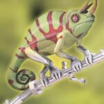 Biomimética: la ciencia extrae los secretos de la naturaleza para los grandes inventos