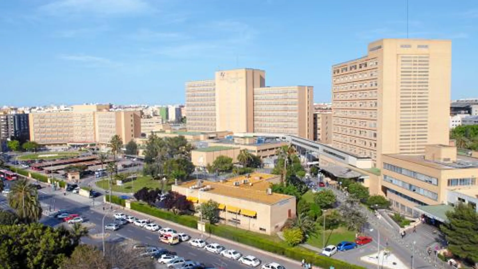 El hospital La Fe ubicado en el barrio de Campanar de Valencia