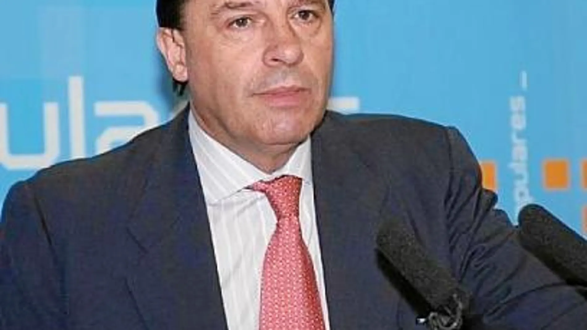 El diputado nacional del PP por Murcia Vicente Martínez-Pujalte