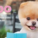 Boo, una estrella que eclipsa a celebridades como Penélope Cruz o Cameron Díaz