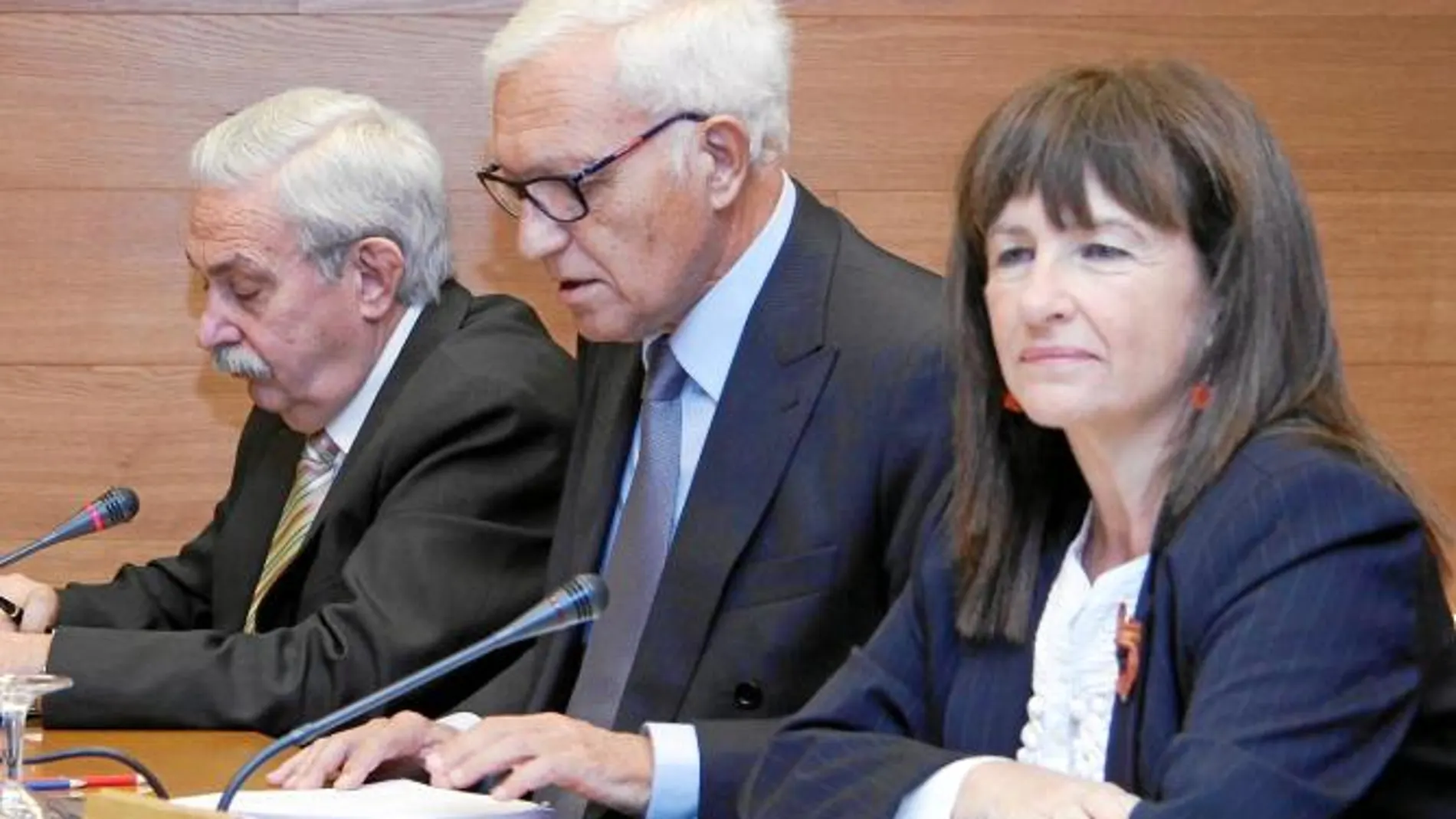 Rafael Vicente Queralt durante su intervención ayer en la Comisión de Economía