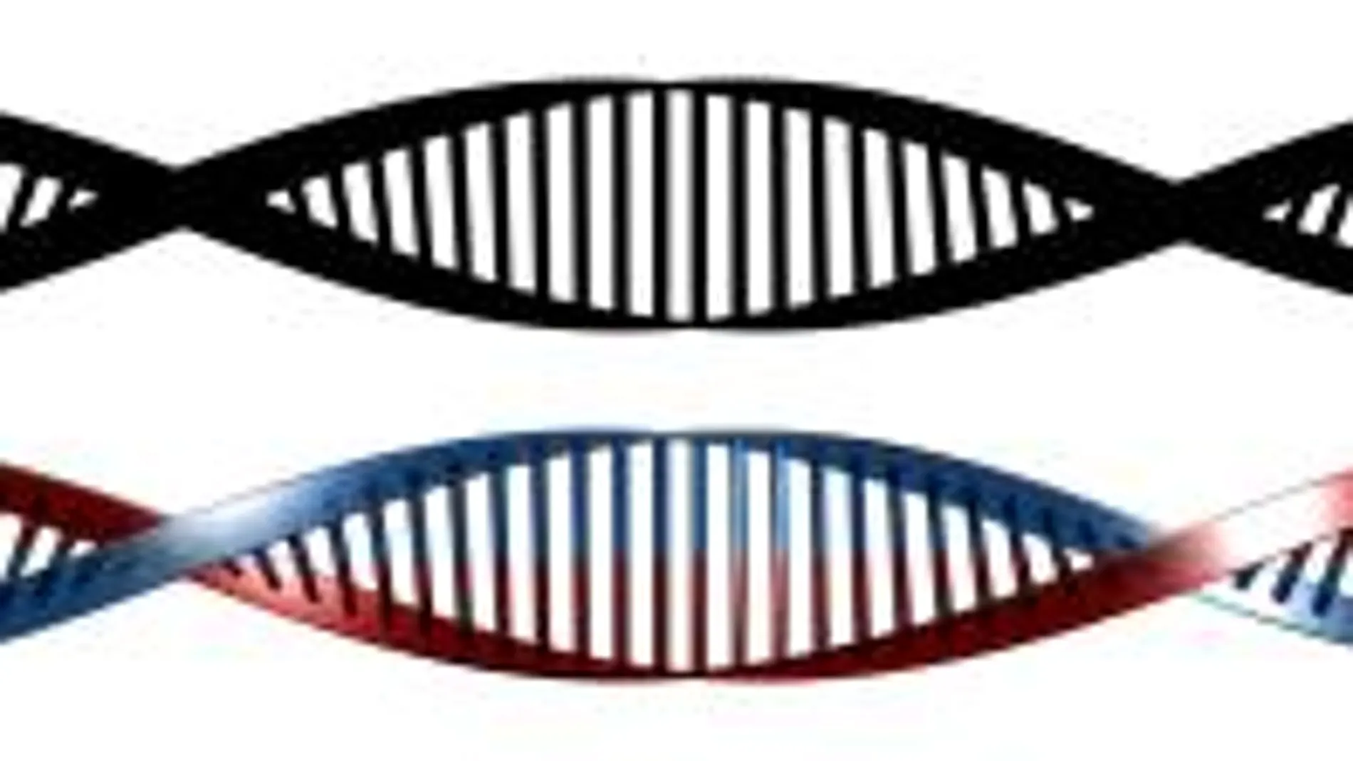 En busca de los genes contra la ELA