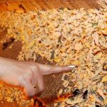 Los vecinos denuncian que este verano los insectos se han multiplicado