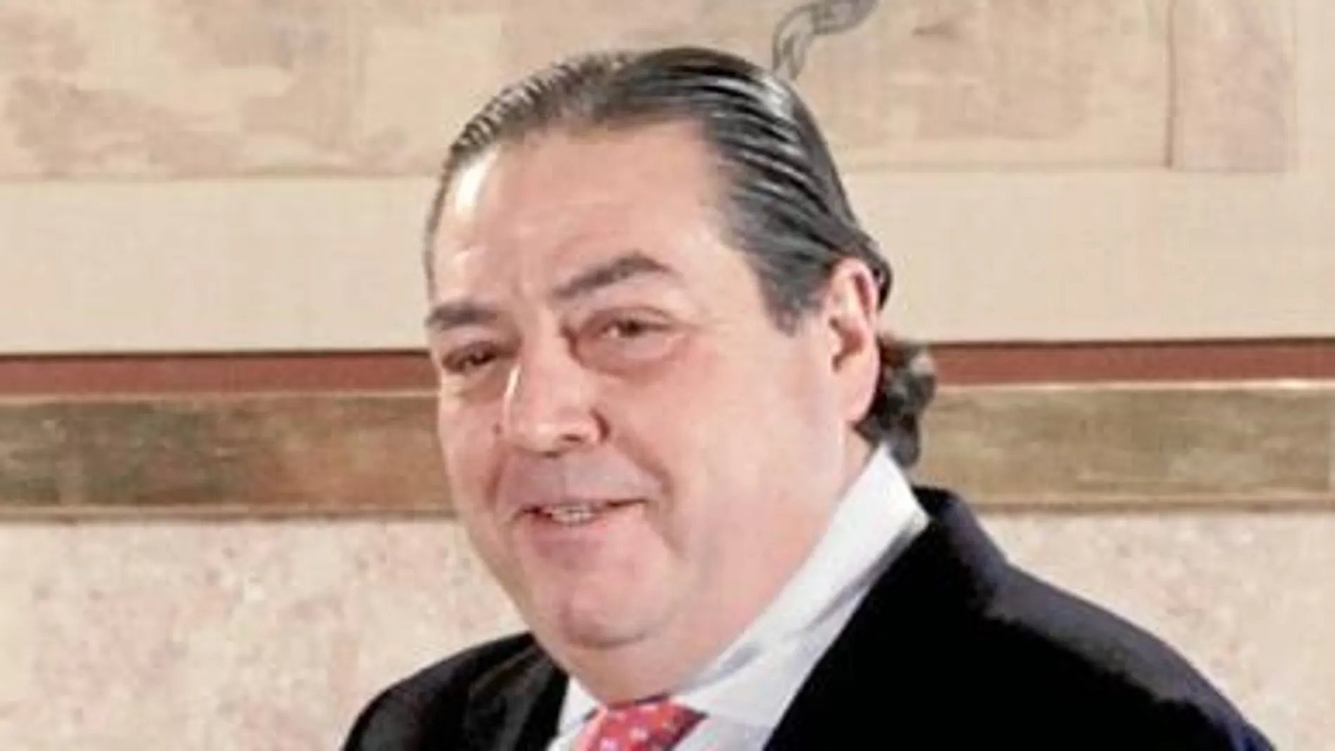 El presidente de AVE, Vicente Boluda, en una imagen de archivo
