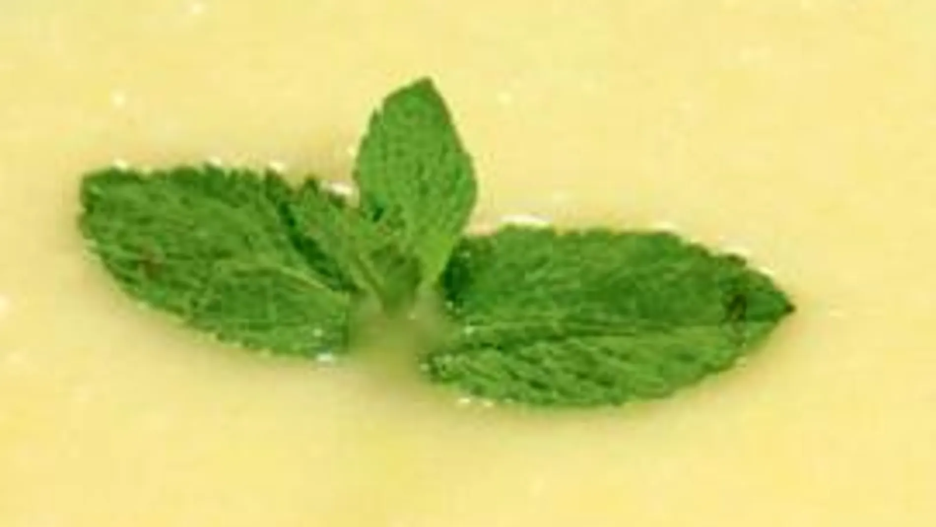 Operación bikini: Crema de melón y Lubina con apio