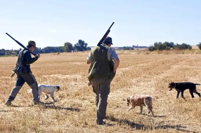 ¿Por qué los perros de caza no están incluidos en la Ley de Bienestar Animal?