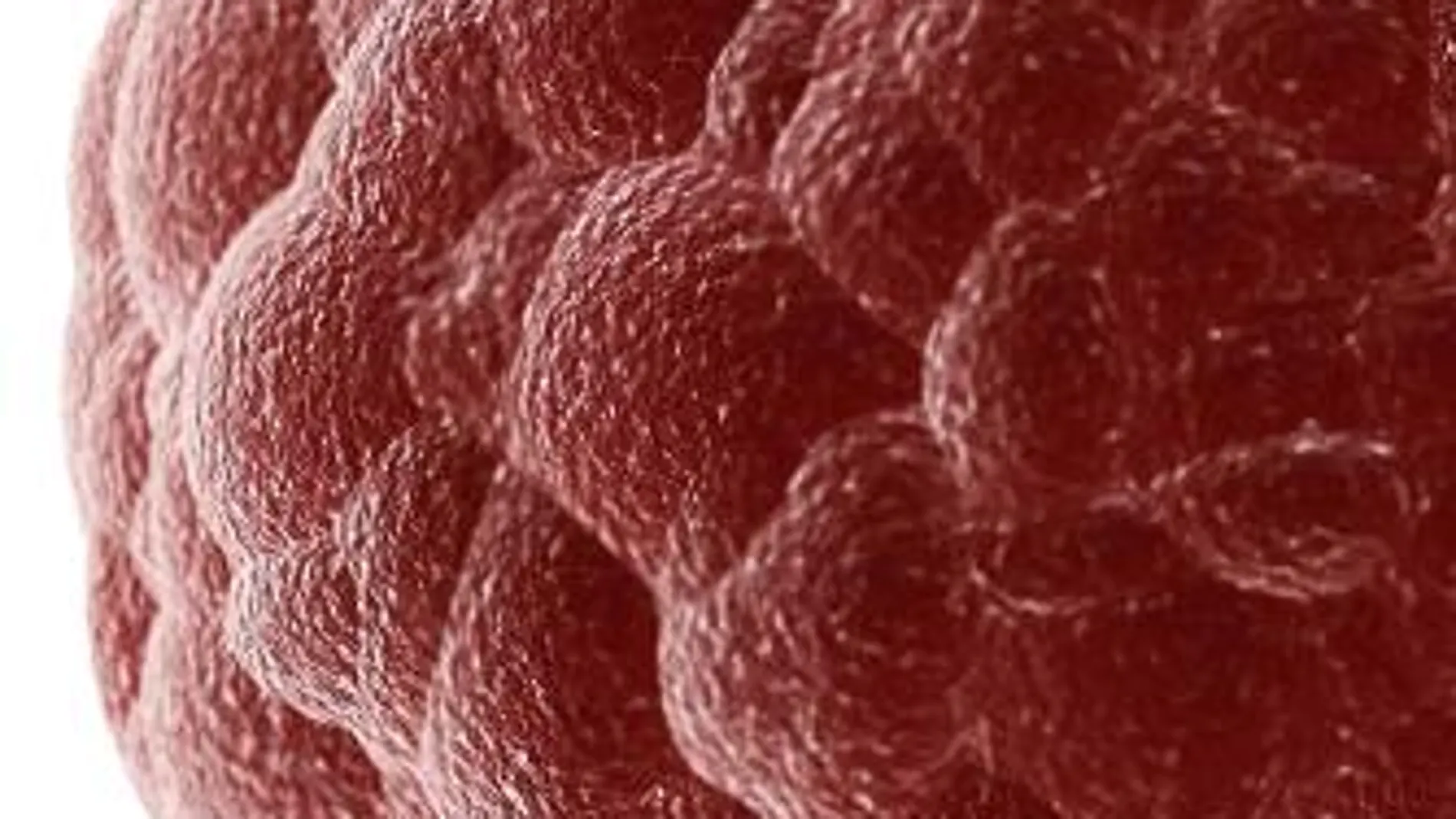 Cáncer: ¿Aspirina con efecto preventivo en el futuro?