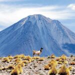 Agua para atacama