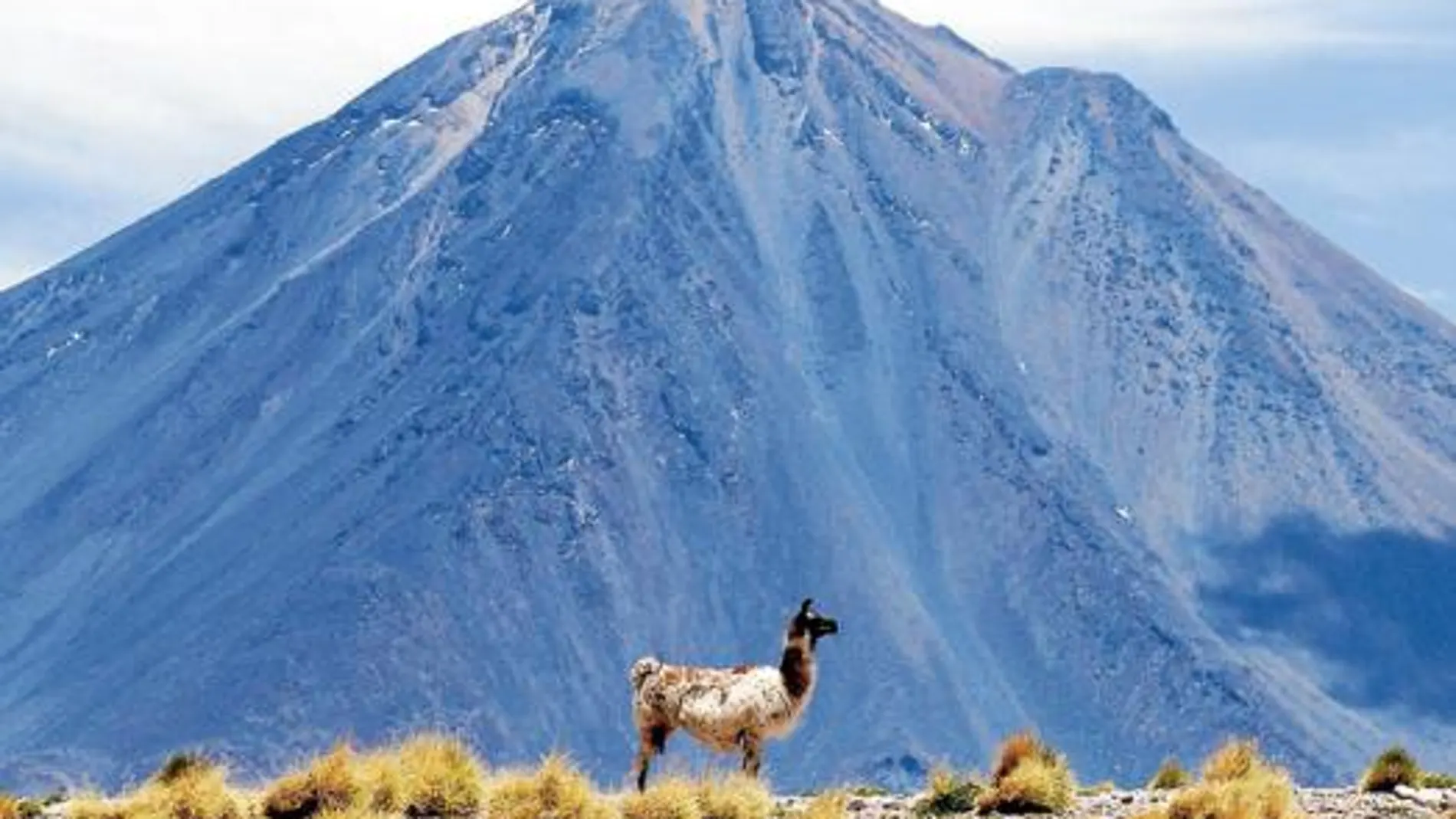 Agua para atacama
