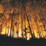 Soluciones tecnológicas contra el fuego