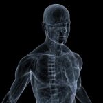 Pegamento e impresoras 3D en el horizonte de la Medicina