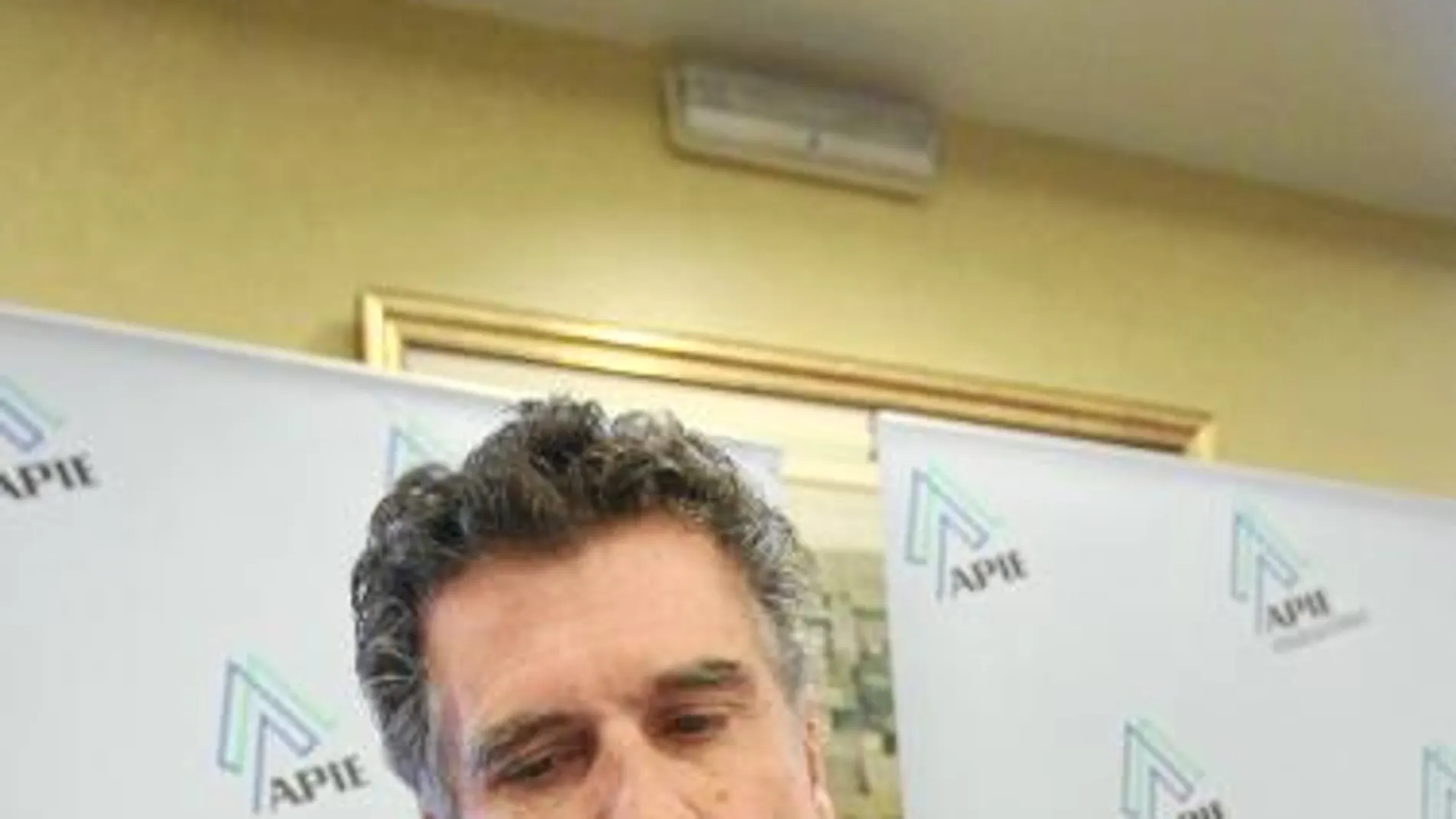 Jaime Guardiola, consejero delegado de Banco Sabadell, ayer, en la APIE