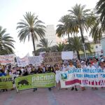 Antitaurinos se manifiestan por una corrida de toros en Gandía
