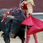 Morante de la Puebla durante la corrida de la Beneficencia