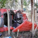 Estado en el que quedó el vehículo siniestrado tras chocar contra un árbol