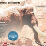 Clonación: el mamut volverá a cruzar los hielos