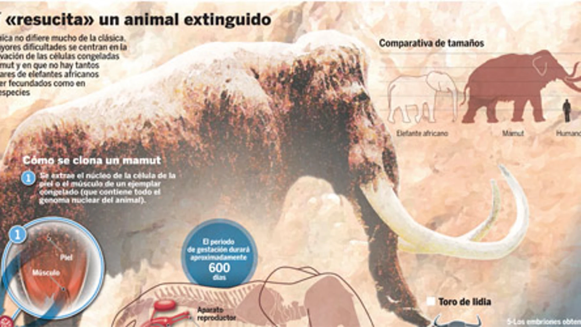 Clonación: el mamut volverá a cruzar los hielos